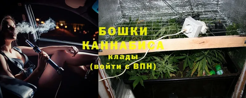 блэк спрут вход  Белорецк  Конопля Bruce Banner  где купить наркоту 